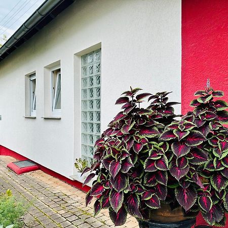 ☆Gemuetliche 1-Zimmerwohnung Mit Terrasse☆ Rielingshausen ภายนอก รูปภาพ