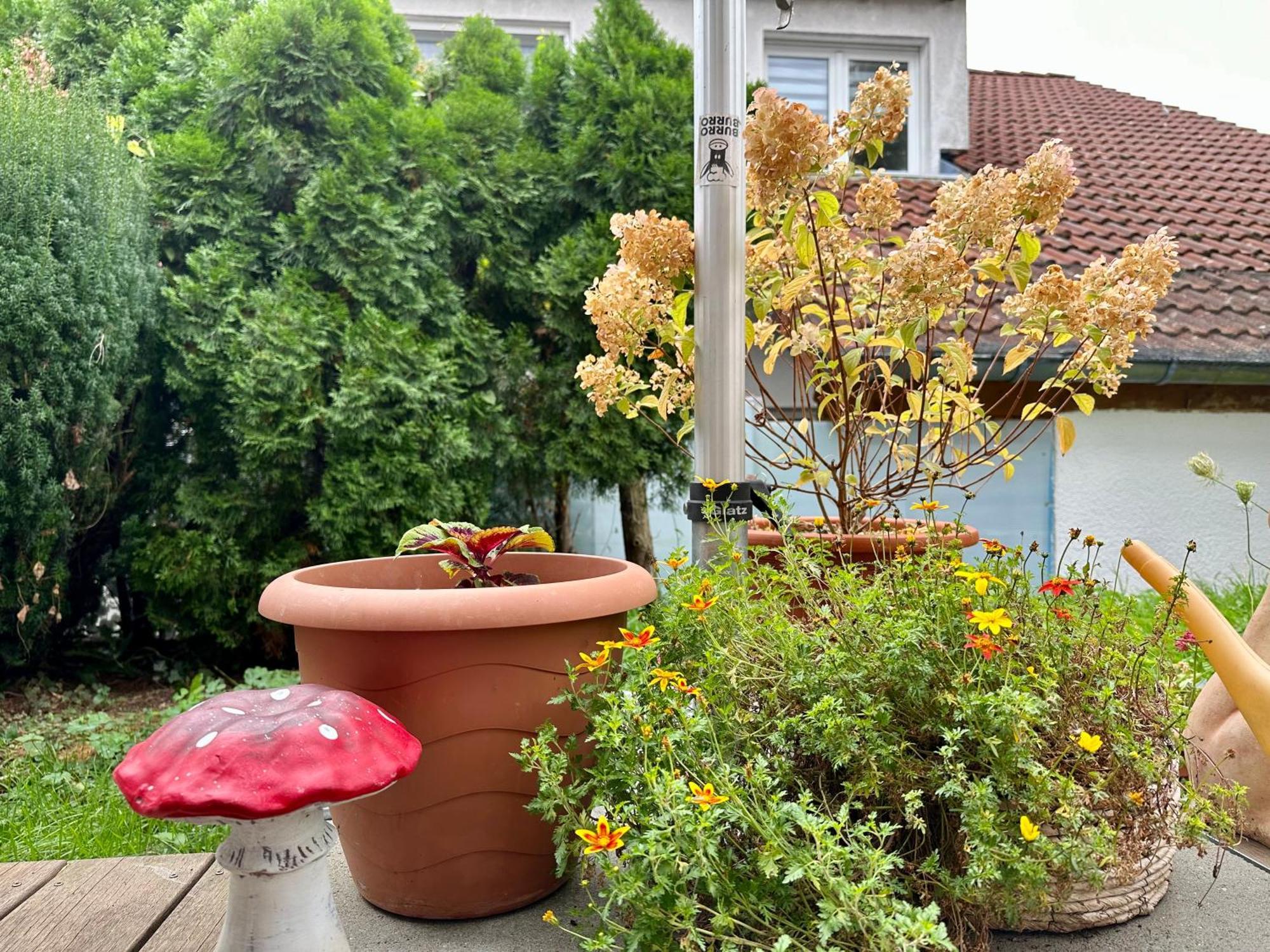 ☆Gemuetliche 1-Zimmerwohnung Mit Terrasse☆ Rielingshausen ภายนอก รูปภาพ